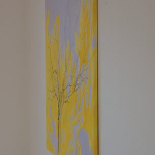 Seitenansicht im Raum